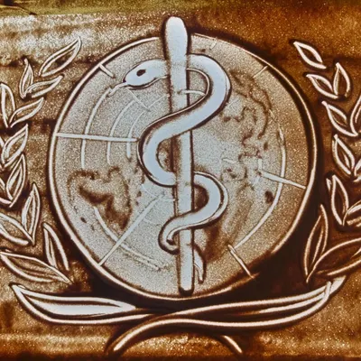 The iconic World Health Organization logo, meticulously crafted in sand. This was for an investment round conference in Delhi, where I narrated WHO's journey in the Pan-East Asia region, from battling polio to facing the COVID-19 crisis.