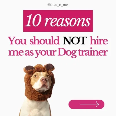 I'm very direct about my training style, so I want you to know if we're the right fit. I believe in empowering you, the owner, to build a strong relationship with your dog through positive reinforcement, not quick fixes or harsh methods.