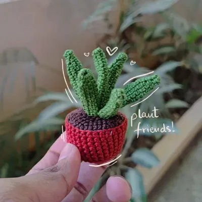 A tiny potted cactus, one of my "plant friends" that you can't kill! This one has a classic look and is perfect for any desk.