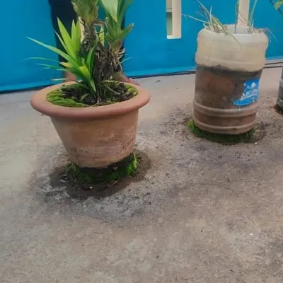 This is a common problem: placing pots directly on a terrace floor leads to trapped moisture, causing algae growth and permanent stains on the surface.
