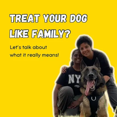 We all say we treat our dogs like family, but what does that really mean? To me, it means loving them for the unique species they are, not trying to turn them into little humans.