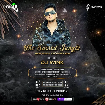 I am the DJ for Bangalore's biggest nights, including this massive New Year's Eve party at Pebble. Booking me means you're getting a DJ trusted to handle the most important celebrations of the year.