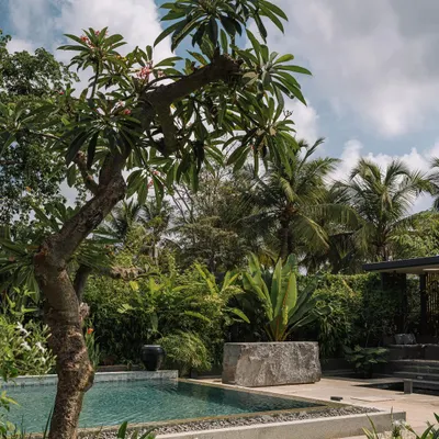 The pool and garden at our GAIA project in Chennai. We designed the landscape to be a lush, tropical paradise that feels both wild and intentional, using local plants like frangipani and monstera to create a true escape.