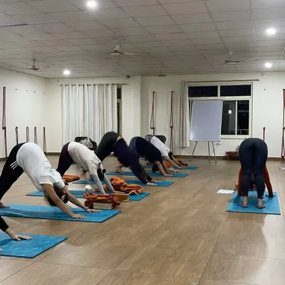 A look inside one of my group yoga sessions, where we focus on foundational asanas and proper alignment. I provide guidance for all skill levels, ensuring everyone can safely explore poses like Downward-Facing Dog to improve flexibility and strength.