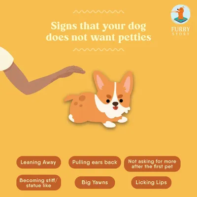Can you tell when a dog is uncomfortable? Misreading signals is a common mistake that can lead to problems. A core part of my training is teaching you to accurately read canine body language, so you always know what a dog is truly feeling.