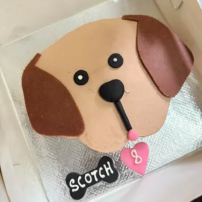 A close-up of our custom Labrador cake for Scotch's 8th birthday. We used our signature peanut butter frosting to create his sweet face, complete with an edible name bone.