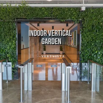 This expansive indoor vertical garden at a Mumbai office entrance makes a powerful statement about the company's commitment to a green and welcoming corporate culture. The wall of living plants naturally improves air quality and provides a stunning visual anchor.