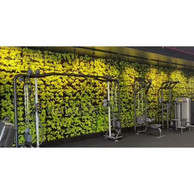 A wide shot of the green wall in a gym, showing how it covers the entire back wall behind the workout equipment. This biophilic design element creates a serene and oxygen-rich atmosphere for members.