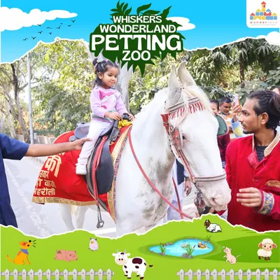 Small hands pet, big smiles bloom. At our Whiskers Wonderland Petting Zoo, children get to experience the joy of connecting with animals, including gentle pony rides that are always a highlight of the day.