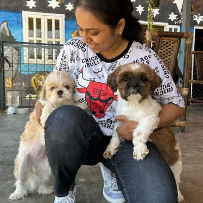 A visitor celebrating her dog's birthday, holding two adorable Shih Tzus.
