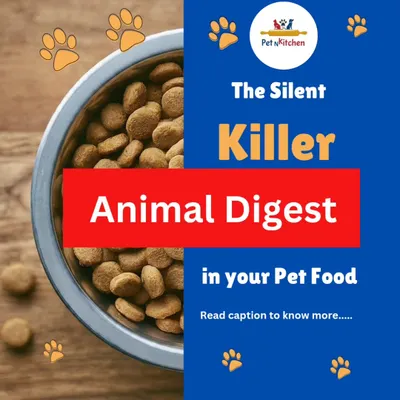 This graphic exposes a dirty secret of the pet food industry: "animal digest." It's a processed chemical slurry used to make kibble addictive. I consider it a silent killer, and it's why I urge everyone to read the labels.