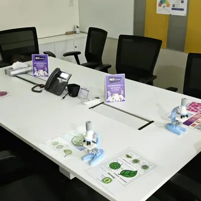 A boardroom transformed into a biology lab. We set up microscopes on the conference table, allowing kids to explore the hidden world of leaves and cells during a "Kids at Work" day.