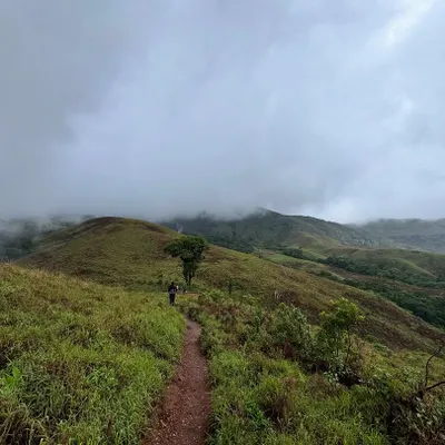 The trail to Kudremukha is an adventure in itself, with paths winding through lush green landscapes. This is just a glimpse of the journey that awaits.