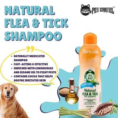 Protect your pet from pests naturally with TropiClean's Natural Flea & Tick Shampoo. It's enriched with lemongrass and sesame oil to fight pests while cocoa helps soothe irritated skin.
