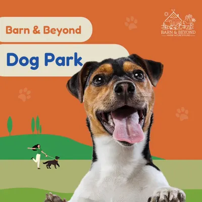 Welcome to our dog park. I wanted to create a safe, spacious, and exciting environment where your furry friend can run, play, and make new buddies.