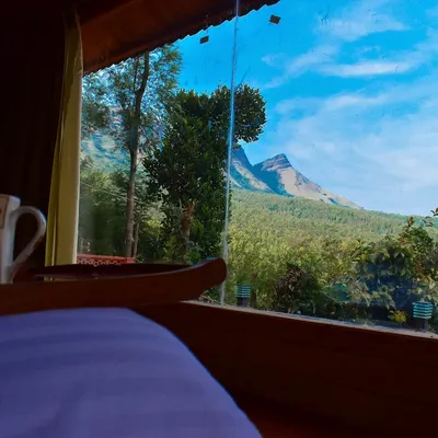 Waking up with a cup of coffee to this view of the Mullayanagiri range from a cozy wooden cabin in Chikmagalur. This is the perfect start to a day of relaxation.