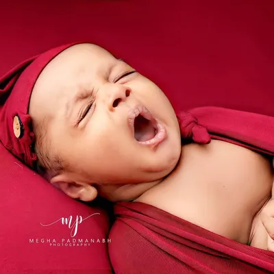 A magnificent, full-faced yawn! We are always ready to capture these spontaneous and adorable moments that show so much personality.