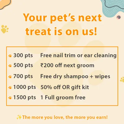 I created the Paw Points Club to thank my loyal clients. This graphic shows how you can earn points with each service and redeem them for perks like a free nail trim, discounts on grooming, or even a full groom for free.