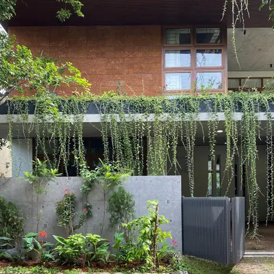 A candid shot of the "House of Greens" facade, showing how the creepers have grown to create a lush, green veil over the building.