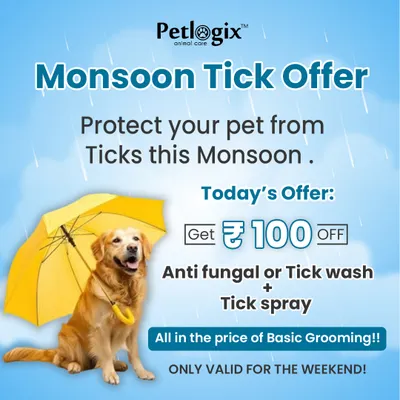 Our Monsoon Tick Offer helps protect your pet from ticks. Get an anti-fungal or tick wash plus a tick spray at a discounted price.
