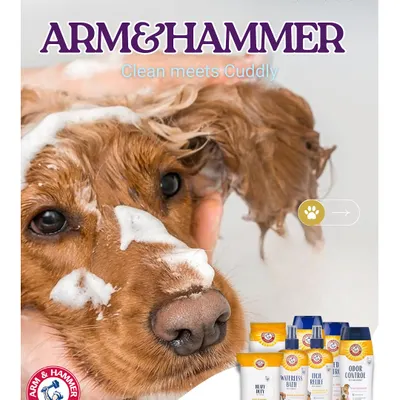 Clean meets cuddly. This promotional image for the Arm & Hammer pet care collection, available at our store, shows a happy dog enjoying a bath, surrounded by products powered by natural baking soda.