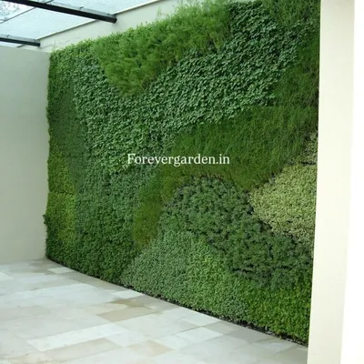 A beautiful example of a dense, all-green vertical garden installed in a covered patio area. The varied textures of the leaves create a natural, layered look that feels incredibly realistic.