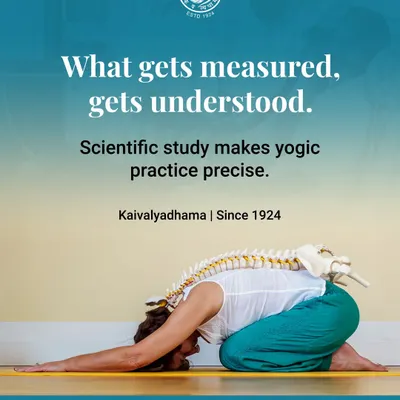 Understanding the biomechanics of a pose is crucial for safe practice. This graphic uses a model of the spine over a practitioner in Balasana (Child's Pose) to illustrate how scientific study makes yogic practice precise.