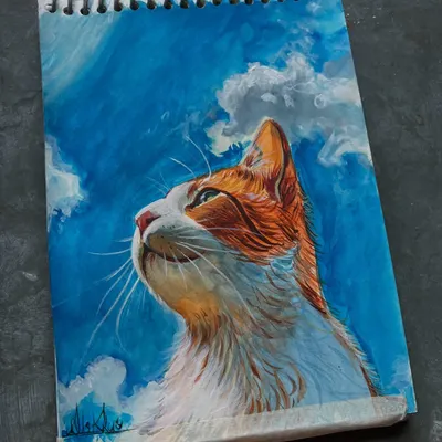 A finished watercolor painting of a cat looking up at the sky. I wanted to capture a sense of wonder and peace in this piece.