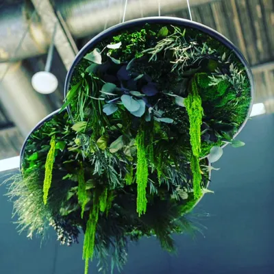 This is a custom-made hanging installation filled with various types of artificial greenery. These "floating islands" are suspended from the ceiling and serve as a unique centerpiece for a large room.