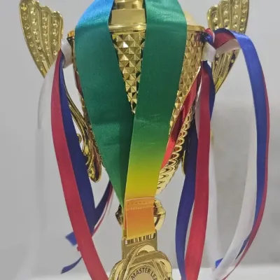 The champion's trophy from the Prime Master League Season 3, where our veteran's team, Team Sensation, emerged as the winner. A testament to their experience and skill.