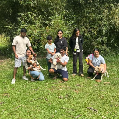 A successful socialization session is not about a chaotic free-for-all. Here, we are practicing engagement with parents and calm neutrality in the presence of other dogs, which are the foundational skills for good social behavior.