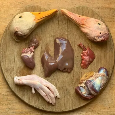 This is what real dog food looks like. Here you see a full spread of duck parts: heads for a crunchy, calcium-rich meal, nutrient-dense liver and heart, and a foot for joint health. I source these components to give you complete control over your dog's bowl.