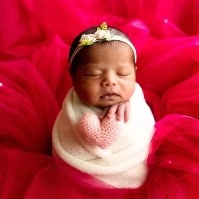 A classic newborn portrait of a baby girl swaddled in white, holding a pink knit heart against a vibrant red tulle background.