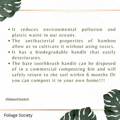 This graphic details the environmental benefits of switching to a bamboo toothbrush. It highlights how the biodegradable handle reduces plastic pollution and can be safely composted at home, returning to the soil within six months.
