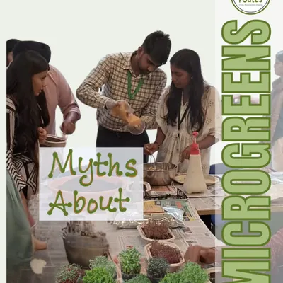 I regularly host workshops to bust common myths about growing food, like this one focused on microgreens. Education is a key part of my mission to empower people to grow.