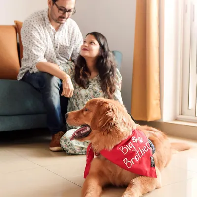 A perfect family moment captured indoors. This couple shares a loving look while their adorable golden retriever, Yobo, relaxes at their feet. These are the cozy, authentic portraits that become cherished memories.