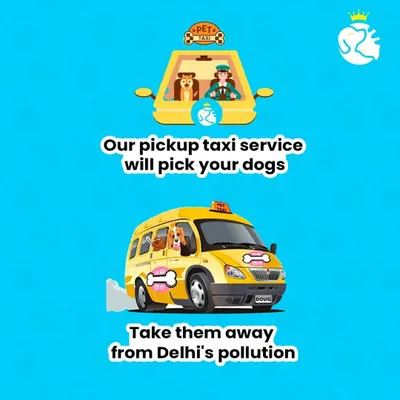 Our pickup taxi service is equipped to handle dogs of all sizes. We'll collect your pet and transport them safely, offering a clean and calm environment away from the stress of Delhi's pollution.
