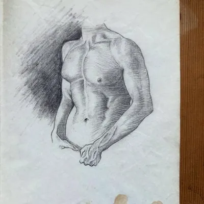 A pencil sketch of a male torso from my early archives. This drawing was one of my first attempts at studying anatomy and form, the foundational skills that I still use in my styling work today.