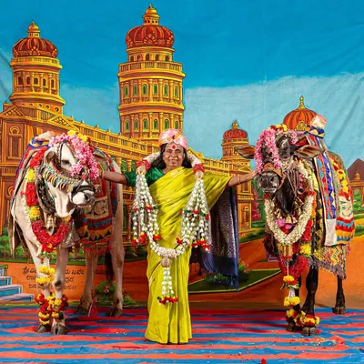A vibrant photo-performance from my solo show 'No Longer A Memory'. Here, I stand with my mother and two decorated bulls against a theatrical backdrop, a scene that blends rural memory with a pop-art sensibility.