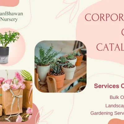 Gifting green is a thoughtful and sustainable choice for any corporate occasion. My catalog includes options for bulk orders, landscaping services, and other gardening solutions tailored for businesses.