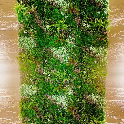 This is one of our most popular premium designs, featuring a dense mix of ferns, succulents, and flowering sprigs. The variety of textures and shades of green creates a highly realistic and lush indoor feature wall.