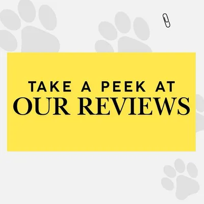 The words from my customers make this journey so wonderful. Take a peek at some of the reviews from pet parents who love the experience at my store.