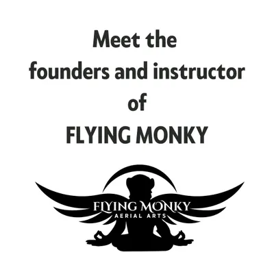 We are the team behind Flying Monky, a group of passionate artists and teachers dedicated to building a strong and supportive aerial community in India.
