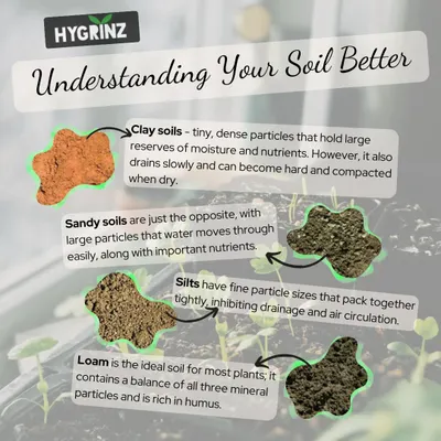 Understanding your soil is the first step to a healthy garden. This guide explains the differences between clay, sandy, silt, and loam soils and how they affect plant growth.