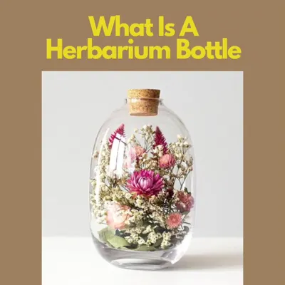 Have you ever heard of a Herbarium Bottle? It is a beautiful Japanese technique of preserving dried flowers in a glass bottle with oil, capturing their beauty forever. It is a wonderfully mindful and therapeutic craft.