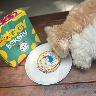 Celebrate Diwali with your best friend! Our Furry Festive Diya Cake is a safe and delicious way for your dog to join in the festivities.