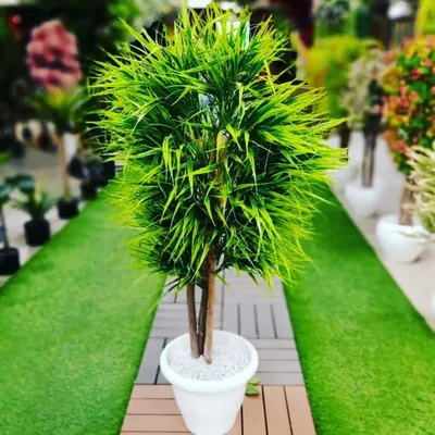 This is a sample setup of my artificial landscaping service. It features durable, natural-looking artificial turf, a stylish walkway, and a custom handmade artificial plant that looks great all year round without any effort.