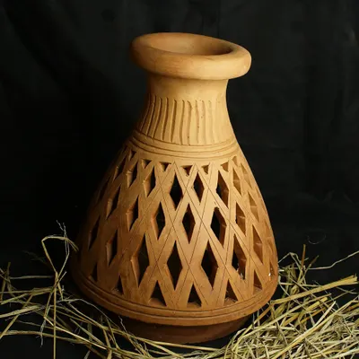 The right pot is just as important as the plant itself. I source high quality containers like this intricately carved terracotta pot, which provides excellent breathability for roots and adds a touch of rustic elegance to your garden.