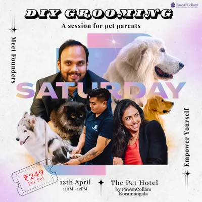 An event poster for our DIY Grooming workshop. This session empowers pet parents to tackle knots and shedding at home, with hands-on guidance from our founders and expert groomers.