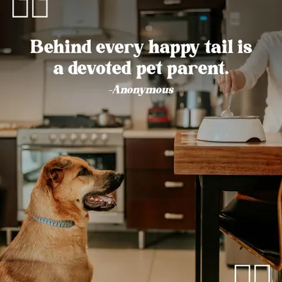 "Behind every happy tail is a devoted pet parent." I couldn't agree more. This image of a dog waiting patiently for its meal captures the beautiful trust between a pet and its person.
